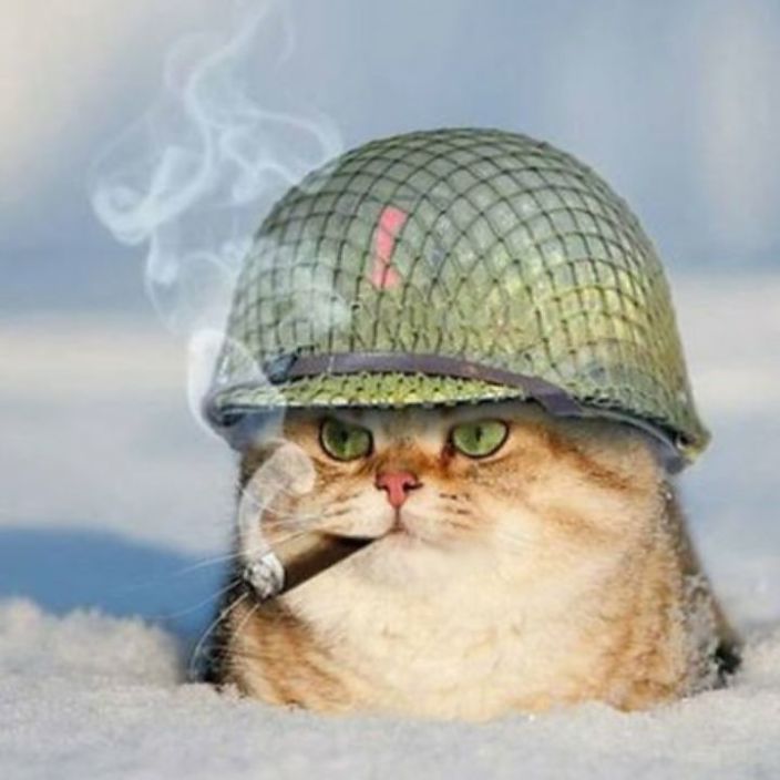 Я тут
