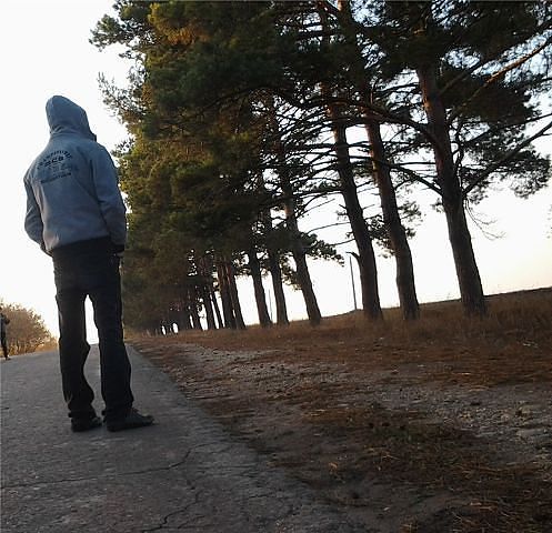 ...................................