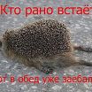 утро.