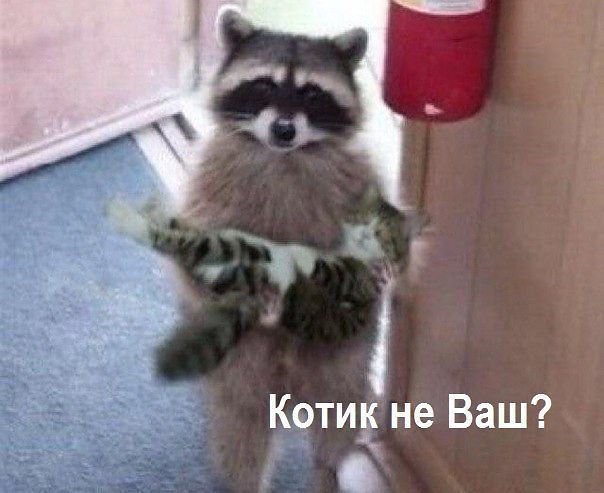 ххх