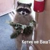 ххх