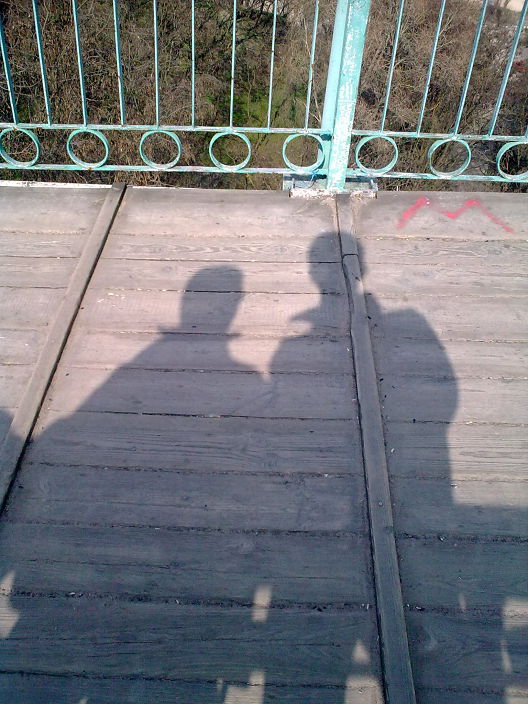 дрочу член на кухне