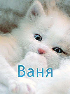 это я
