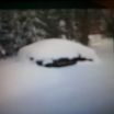 that is my car covered in snow (shit) lucky me ha