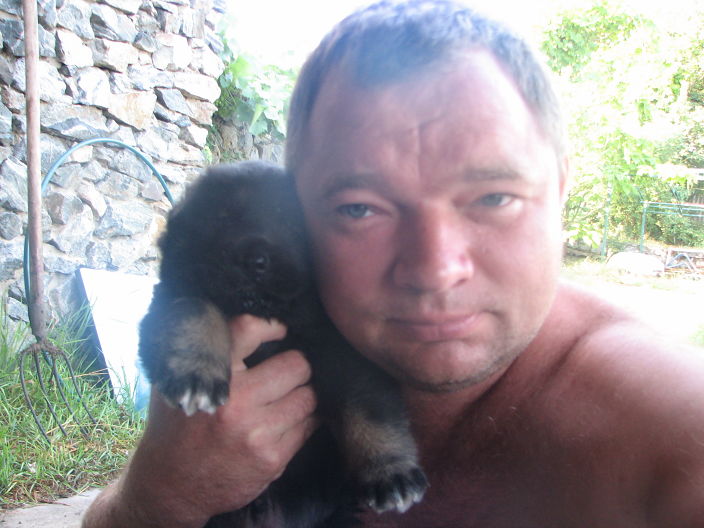 Любимая цобака...