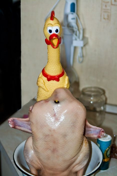 Жизнь удивляет