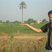 98279872978