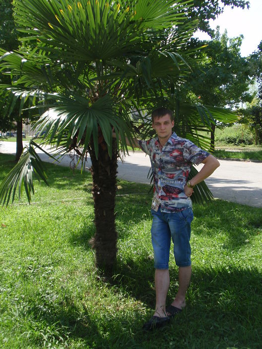 Личные фото