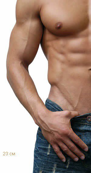 всегда готов