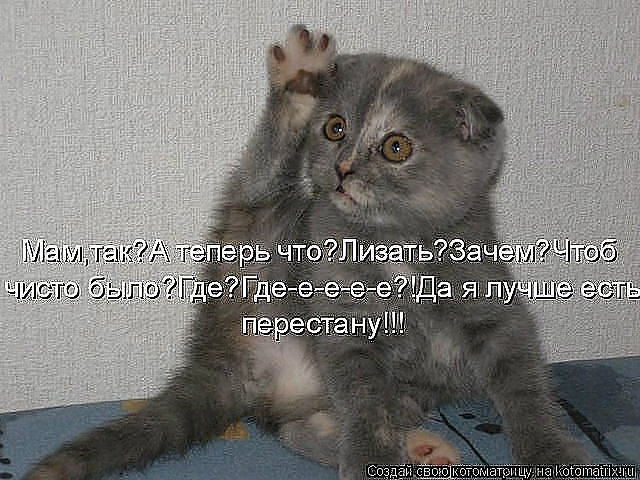 )))))))))))))))))))))))))))))))))))