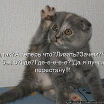 )))))))))))))))))))))))))))))))))))