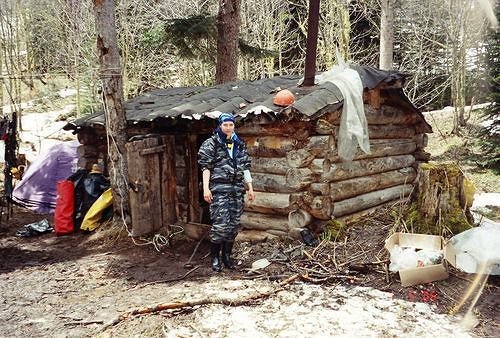 в лесу