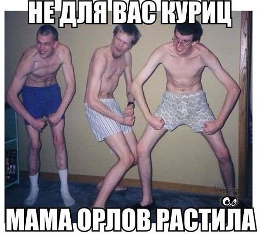 Орлы