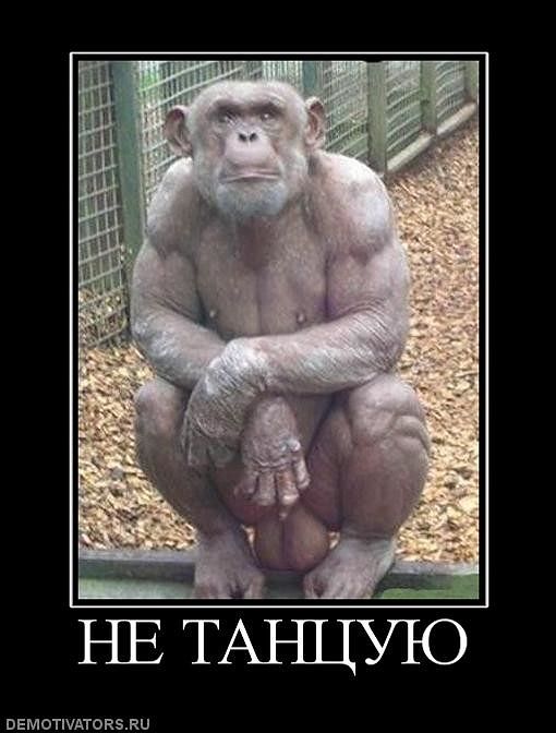 кротко о себе-23см.спорт.телосложения