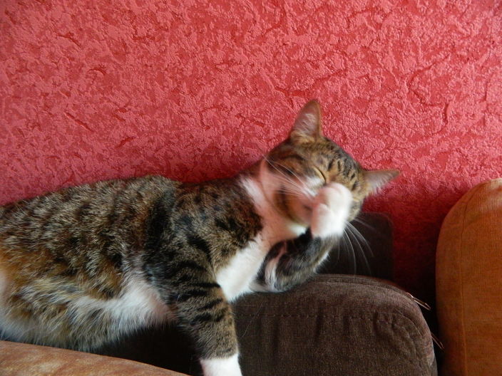 жизнь хороша