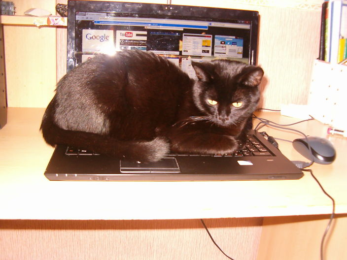 личное фото