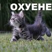 я такой