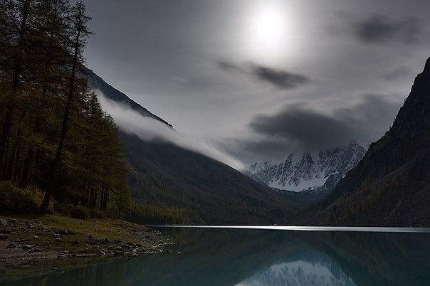 красота