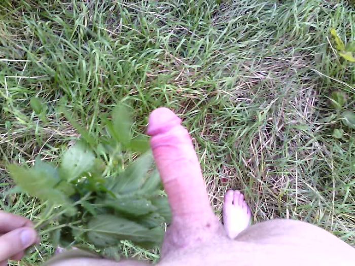 Прогулка в лесу