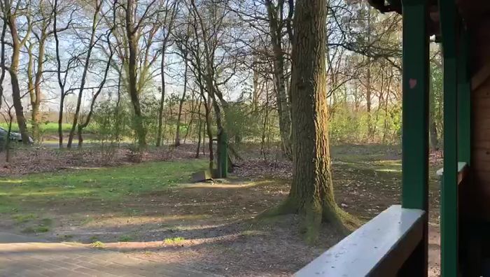 прогулка удалась