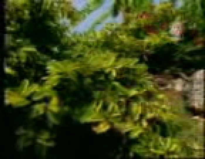 Личные видео