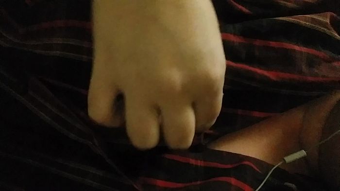 Хотят ласки. ....