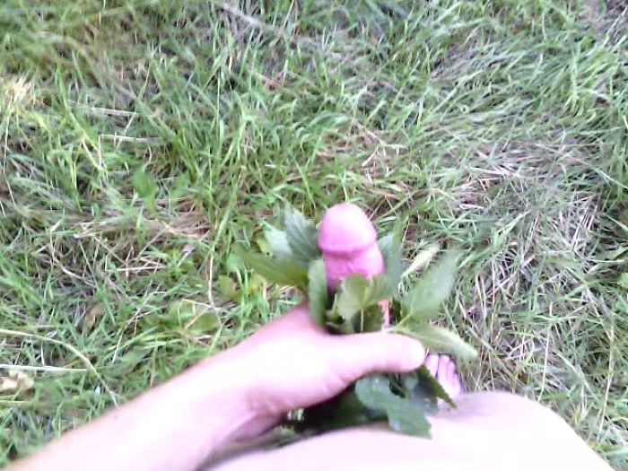 Прогулка в лесу