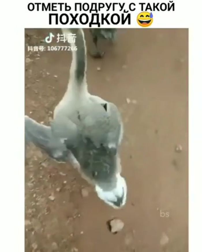 Как она это делает?))