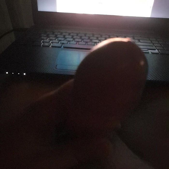 дрочу на порно