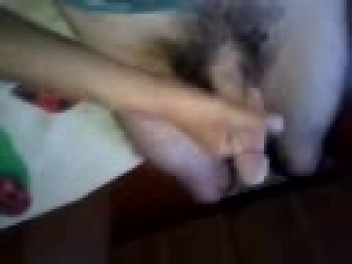 член мой кто хочеть сосать меня