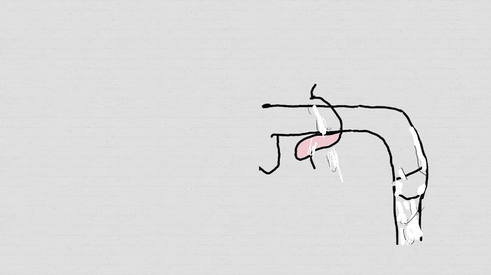 анимация собственная