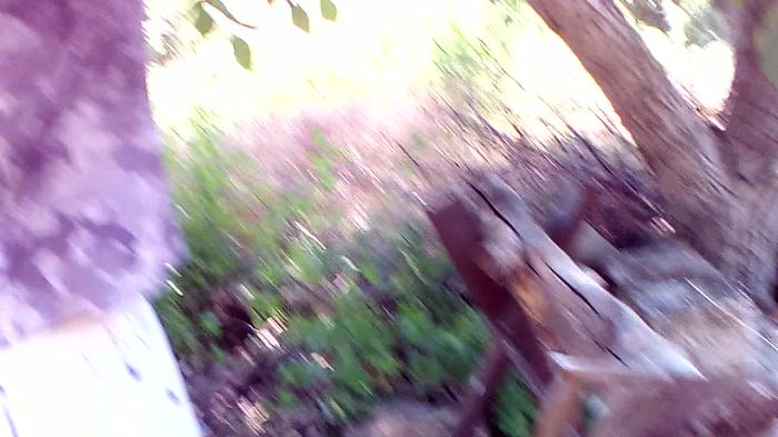 субботник..!