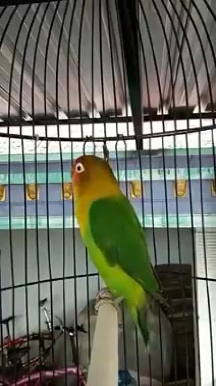 Во так вот;!